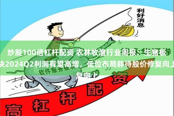 炒股100倍杠杆配资 农林牧渔行业周报：生猪板块2024Q2利润有望高增，低位布局静待股价修复向上