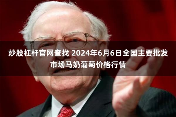 炒股杠杆官网查找 2024年6月6日全国主要批发市场马奶葡萄价格行情